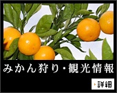�ߤ������ʤɴѸ���������