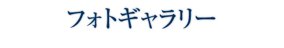 フォトギャラリー